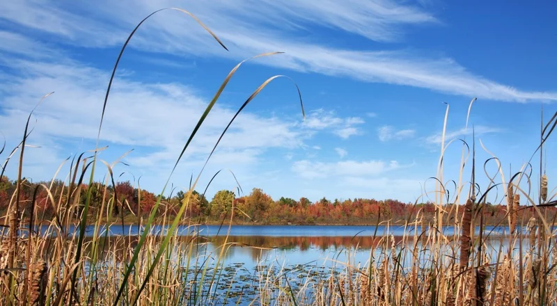 Lake in Farmington Hills, Michigan