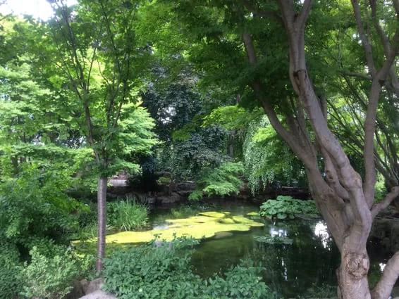A lush, green park in Troy, Michigan during the spring.