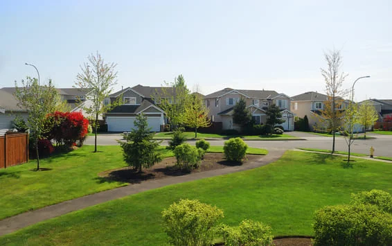 The backyards of a suburban Michigan neighborhood.