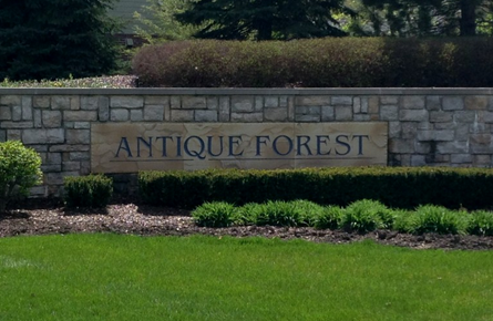 Antique Forest Canton Michigan